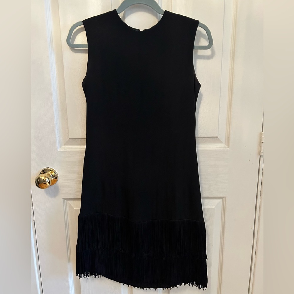 Vintage 1920s Fringe Dress